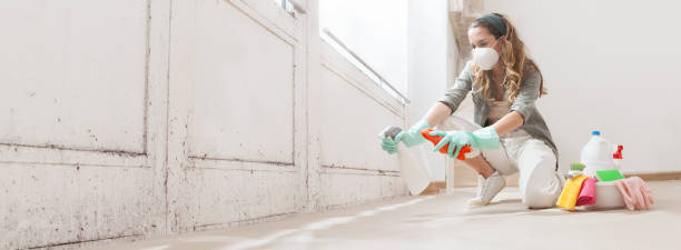  , PA Mold Inspection, Removal & Remediation Pros